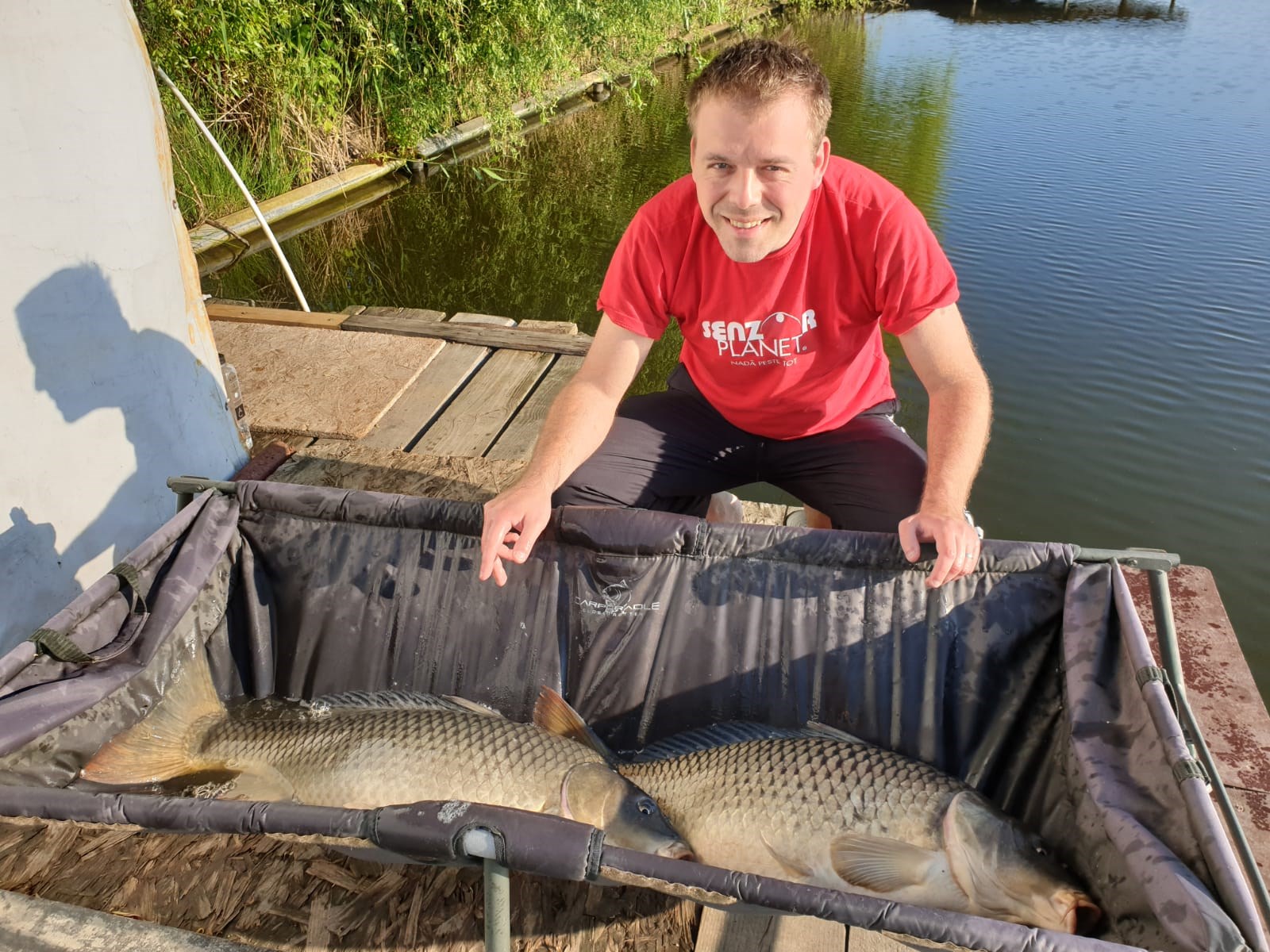 Tancabesti 22 - 25 iun. - 12 kg si 11,5 kg